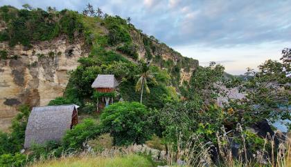 photo Rumah Pohon Molenteng