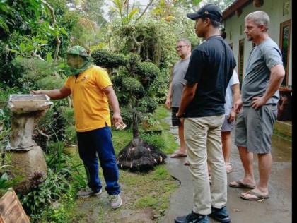 photo Panen Madu Kele-Kele Bali Aga