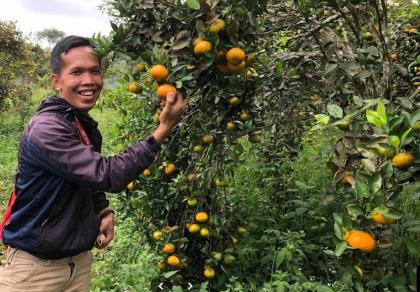 photo Fresh Banget! Agrowisata Petik Jeruk di Rendi's Oange Plantation