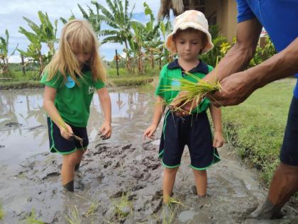 photo Kegiatan Edukasi Pertanian Tradisional Bali di Desa Wisata Kertalangu