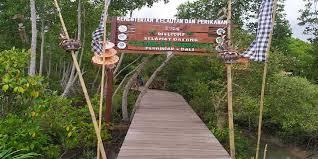 photo Wisata Mangrove Desa Perancak