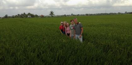 photo Tracking Di Sawah