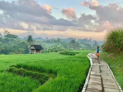 photo Pesona Tersembunyi di Trek Joging Desa Wisata Baha, Bali