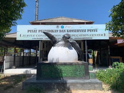 photo TCEC - Turtle Conservation and Education Centre - Desa Wisata Serangan