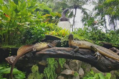 photo Bali Reptile Park Batubulan