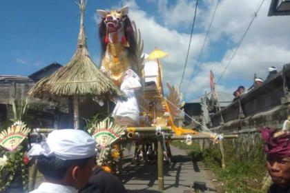 photo Tradisi Ngemaling Nasi ala Desa Pinggan Kintamani