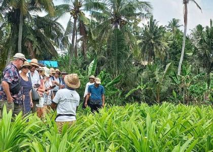 photo  Festival Agro Bongkasa
